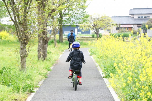 羽生水郷公園