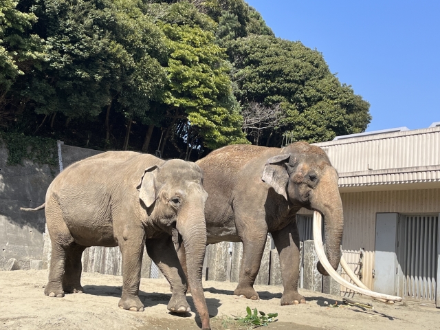 金沢動物園